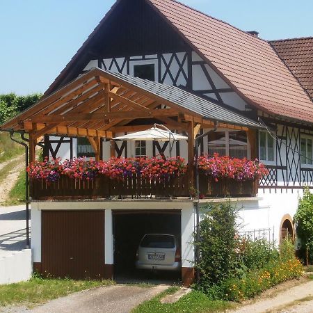 Appartement Steinhof à Oberkirch  Extérieur photo