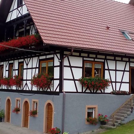 Appartement Steinhof à Oberkirch  Extérieur photo