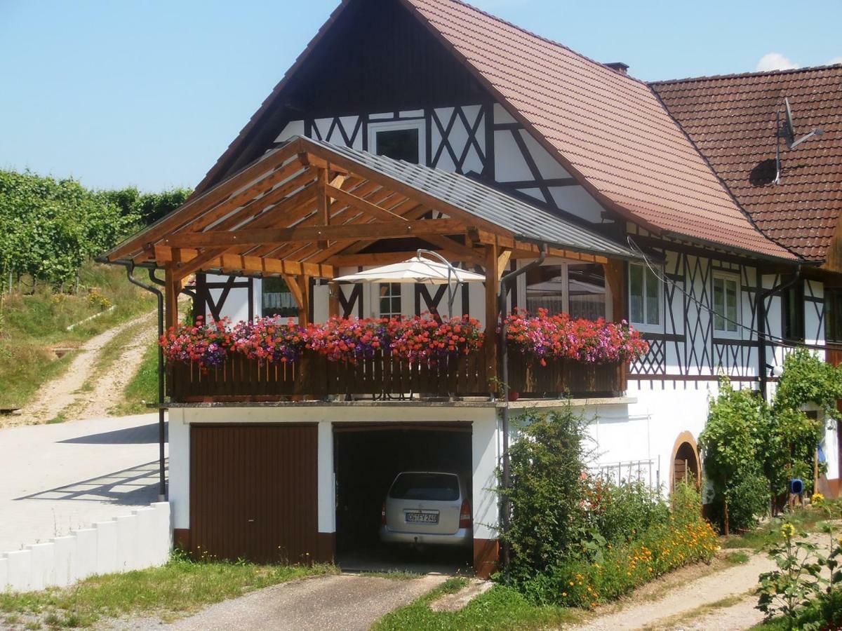 Appartement Steinhof à Oberkirch  Extérieur photo