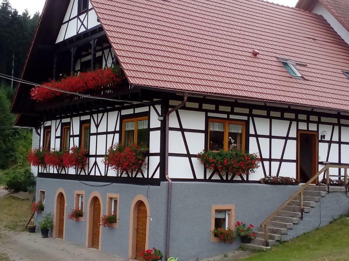 Appartement Steinhof à Oberkirch  Extérieur photo